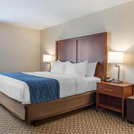 Comfort Inn & Suites Near Route 66 Lincoln Camera foto