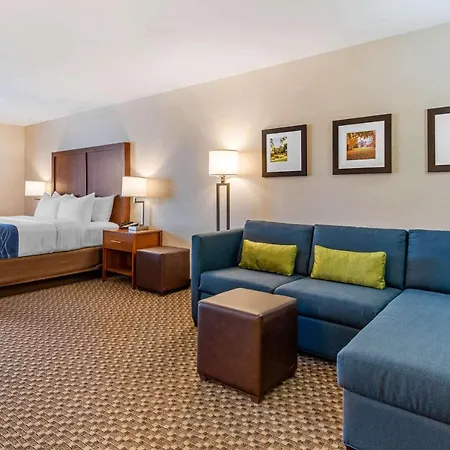 Comfort Inn & Suites Near Route 66 Lincoln Esterno foto